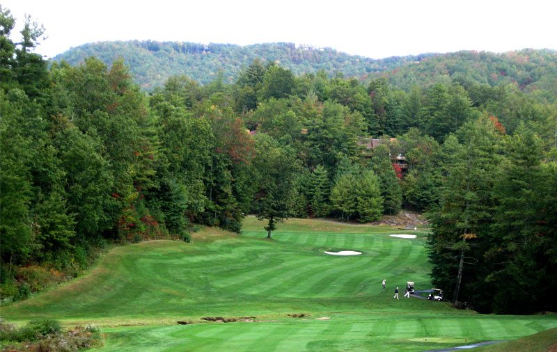 Manicured fairway greens